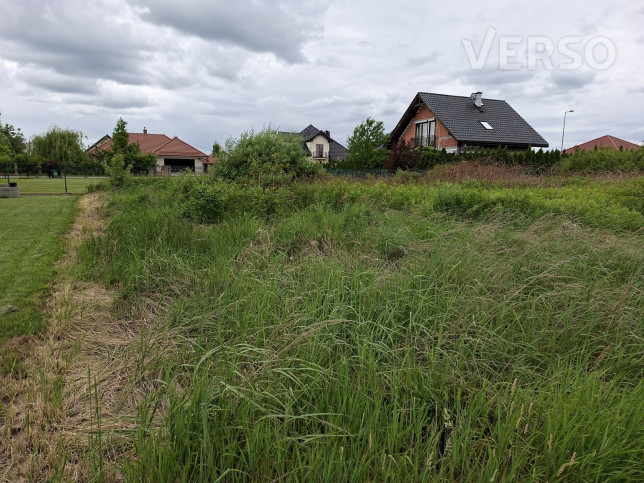Działka Sprzedaż Pisarzowice 1