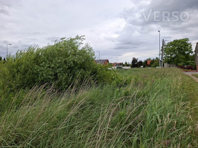 Działka Sprzedaż Pisarzowice 2
