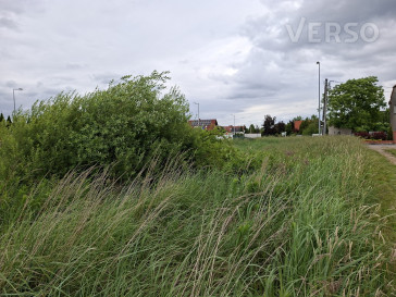 Działka Sprzedaż Pisarzowice