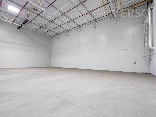Magazyn Wynajem Bielany Wrocławskie Logistyczna 4